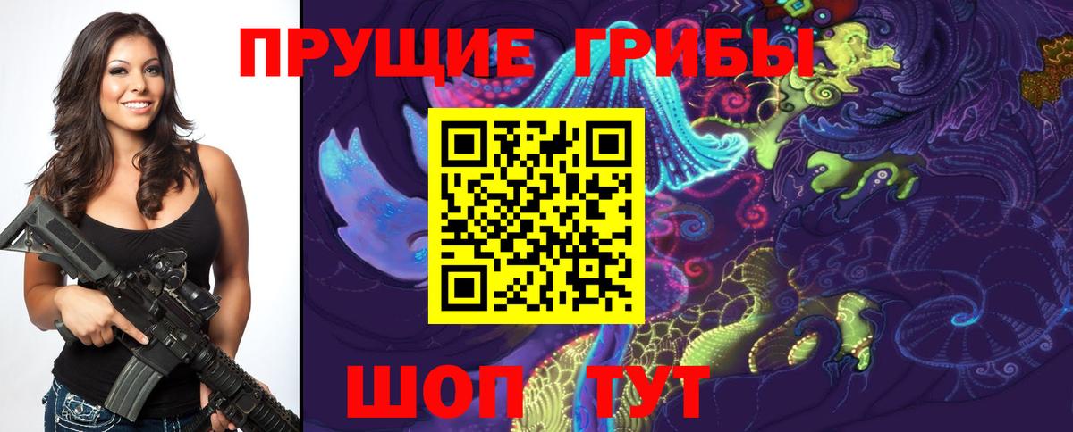 Псилоцибиновые грибы мухоморы Махачкала