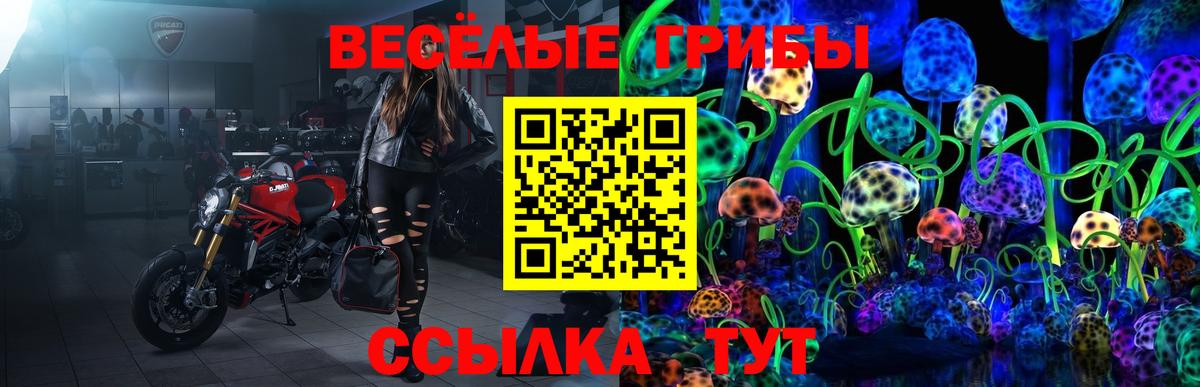 Псилоцибиновые грибы Psilocybine cubensis  Вход с VPN  Махачкала  дарнет шоп  Псилоцибиновые грибы мухоморы 